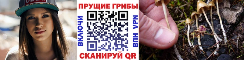Галлюциногенные грибы ЛСД  Краснозаводск 